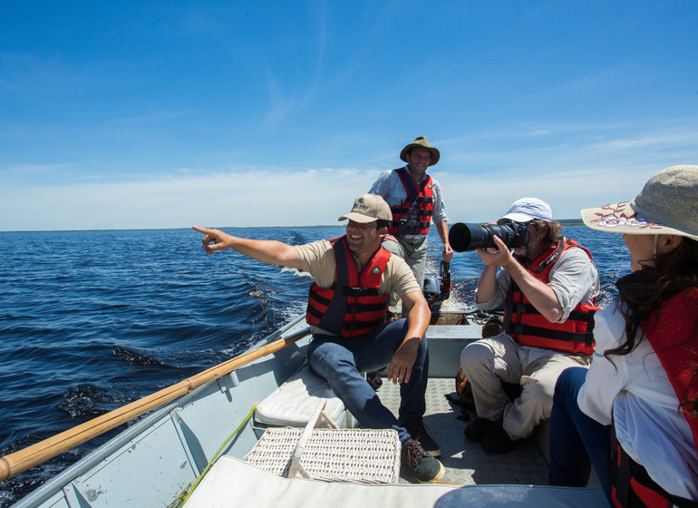 Argentine Voyage Esteros del Ibera Puerto Valle excursion observation d'animaux