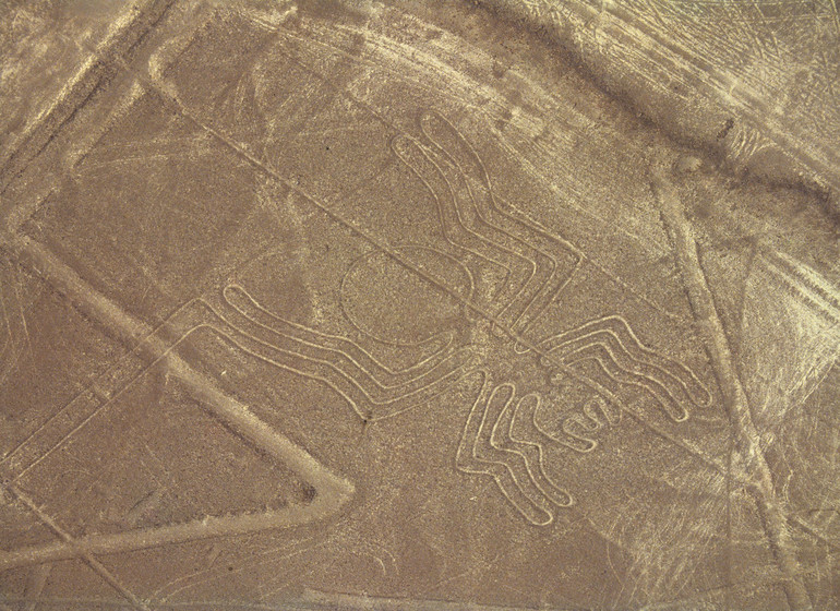 Pérou voyage lignes de Nazca