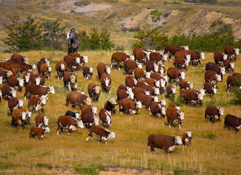 Argentine Voyage Patagonie scène de gauchos