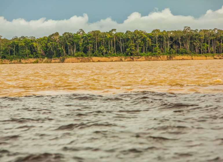 Brésil Voyage Amazonie meeting of the waters