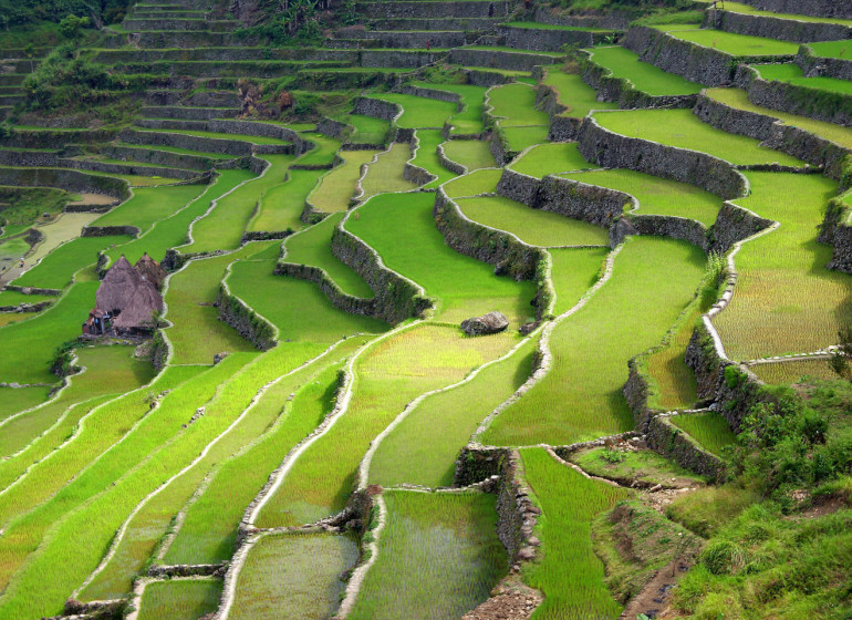 voyage asie philippines rizières terrasses