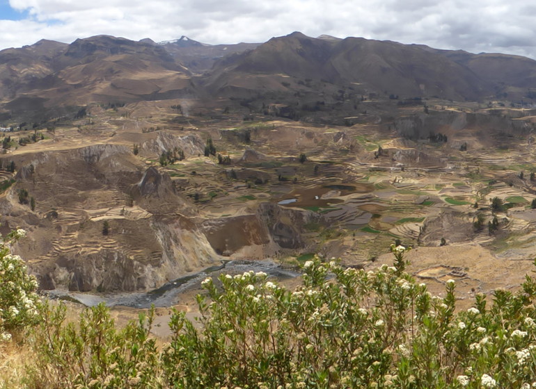 Trek du Canyon du Colca