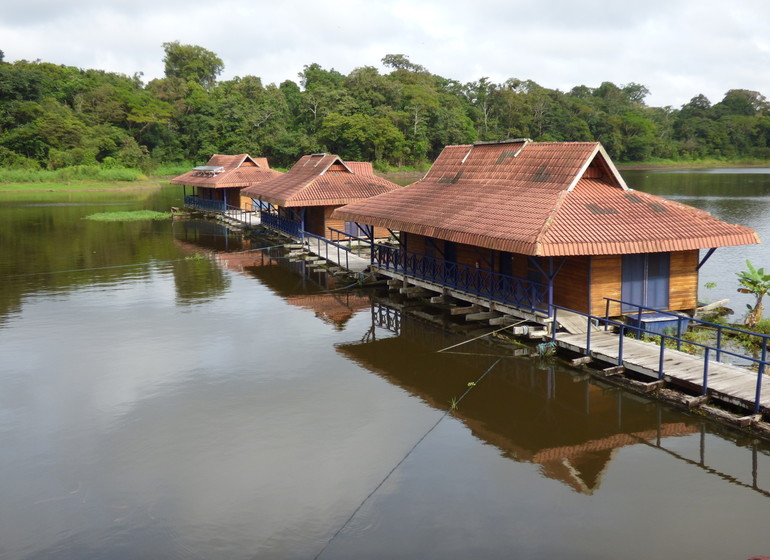 Brésil Voyage Amazonie Uakari Lodge Réserve de Mamirauá