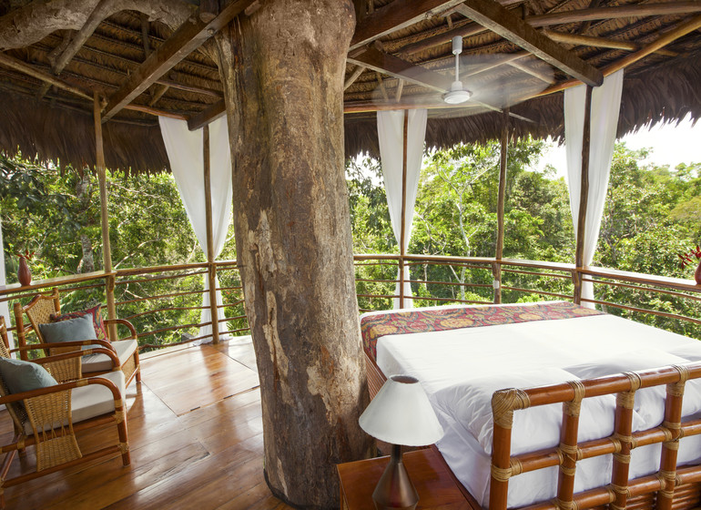 Treehouse Lodge