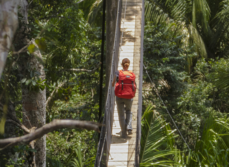 Treehouse Lodge