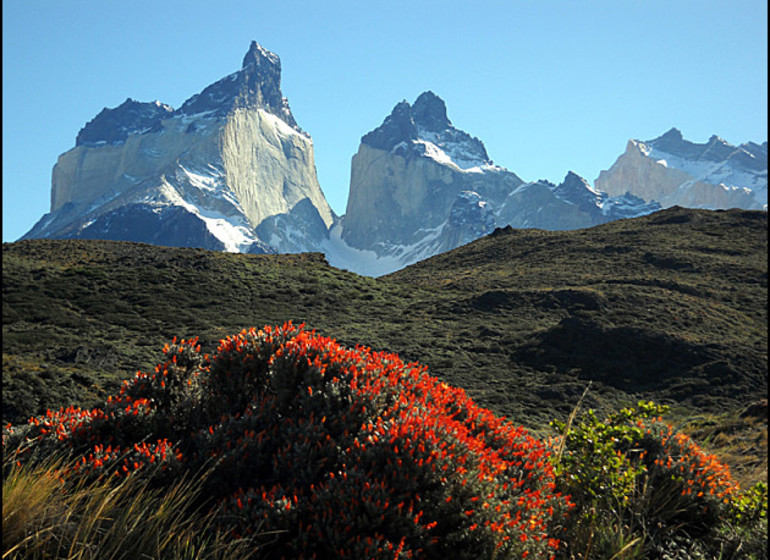 Chili Voyage Torres del Paine