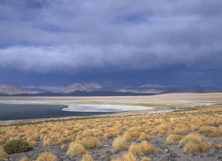 Chili Voyage Awasi Atacama excursion Laguna Miscanti