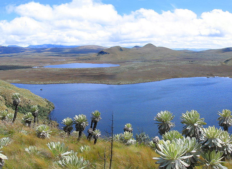 Patchwork des Andes