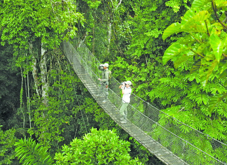 Pérou Voyage Amazonie Sud Rio Madre de Dios pont suspendu