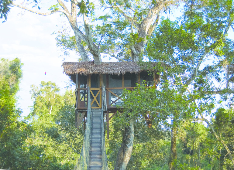 Pérou Voyage Amazonie Sud Rio Madre de Dios tower house