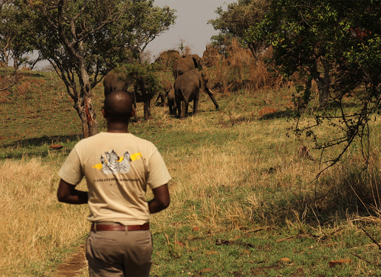 safari tanzanie