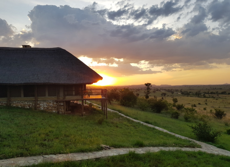 safari tanzanie mara