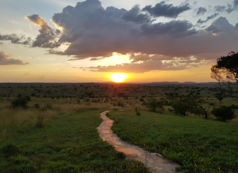 safari tanzanie mara