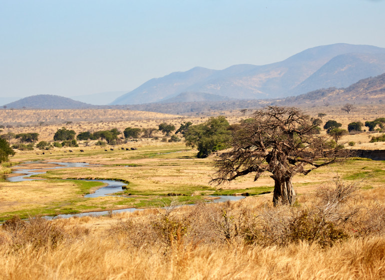 safari tanzanie