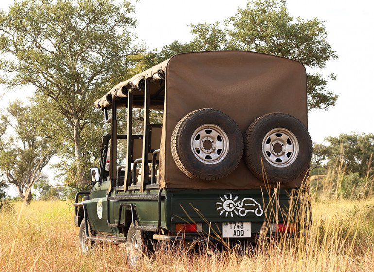 safari tanzanie