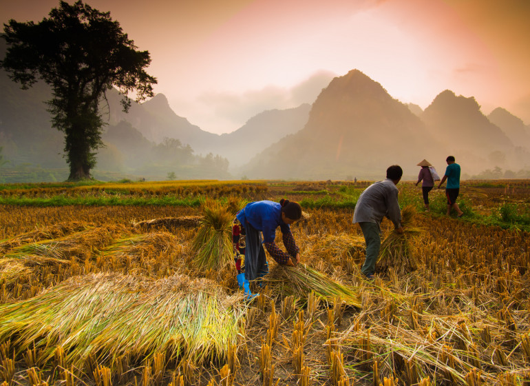 Découverte d'un autre Vietnam