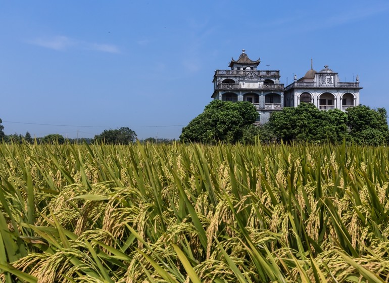 Immersion dans une Chine insolite