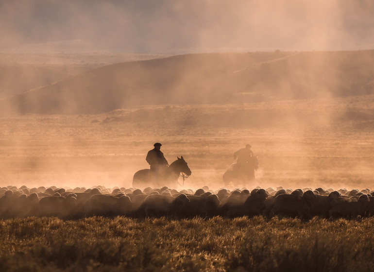 Argentine Voyage Patagonie scène de gauchos