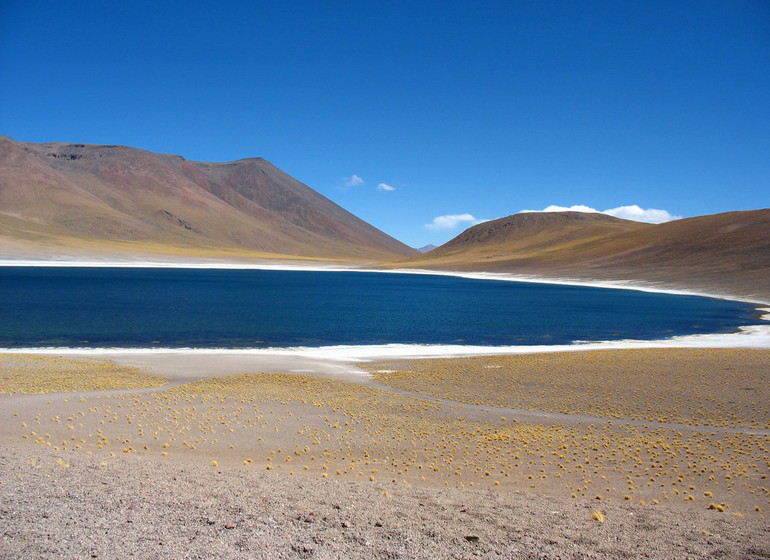 Chili Voyage Atacama Lagune altiplanique