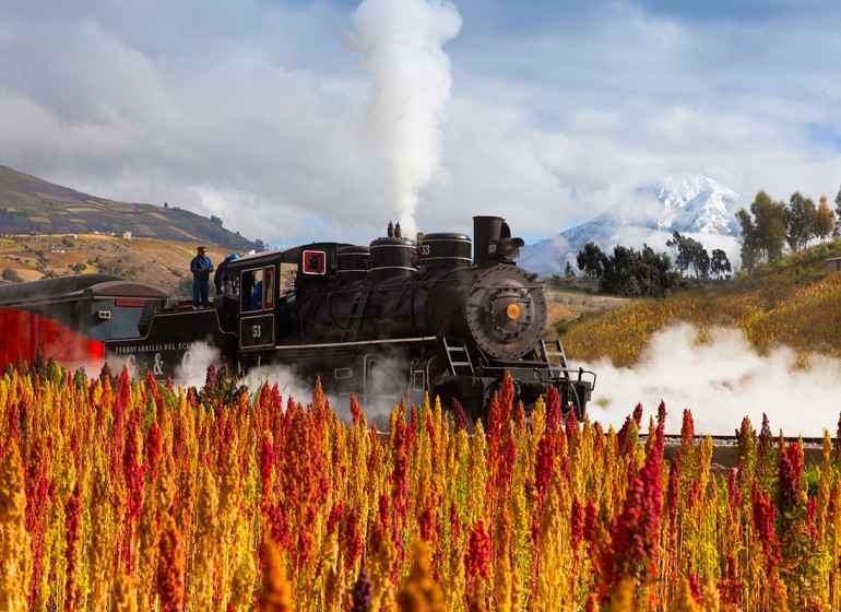 Tren Ecuador