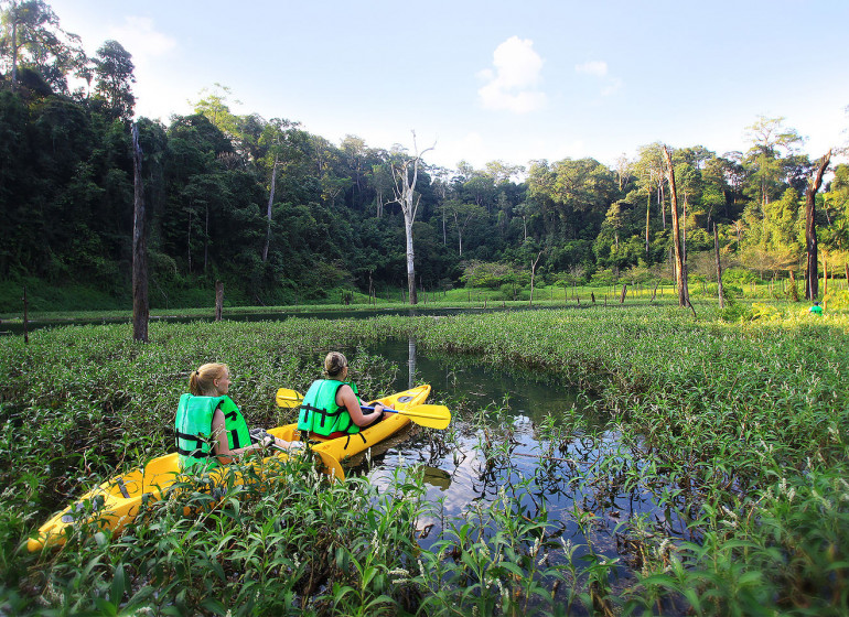 La Thaïlande, entre jungles et plages paradisiaques