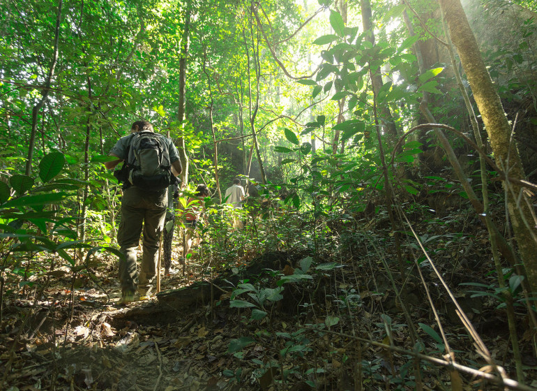 La Thaïlande, entre jungles et plages paradisiaques