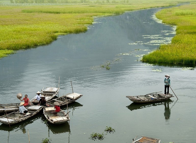 Le Vietnam en Vert et Or