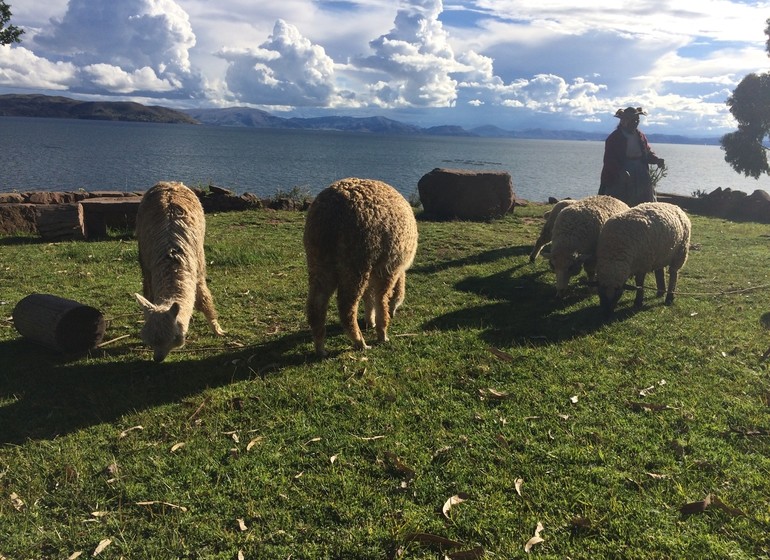 Pérou Voyage Lac Titicaca