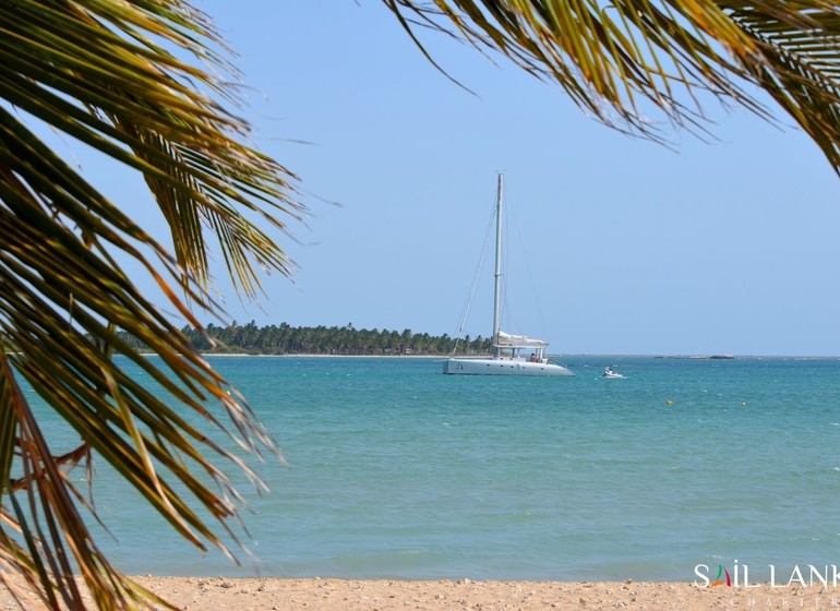 Croisières en catamaran