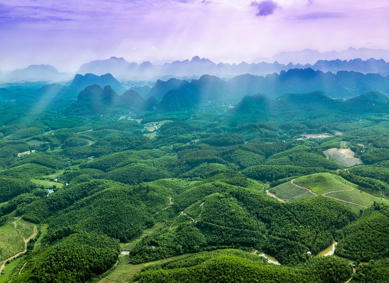 Le Vietnam en Vert et Or