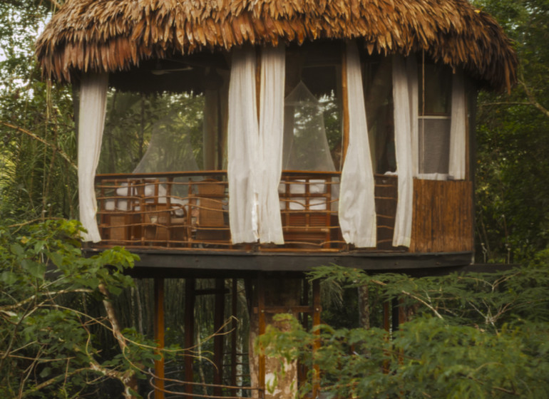 Treehouse Lodge