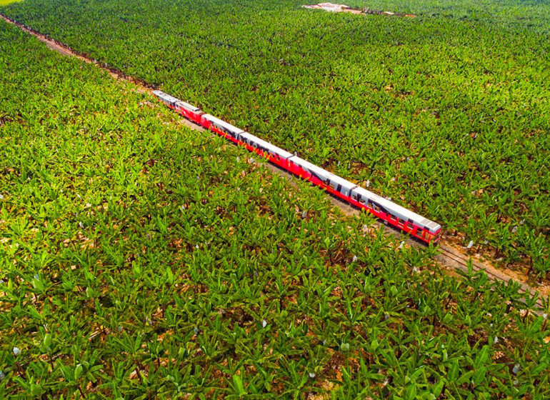 Tren Ecuador