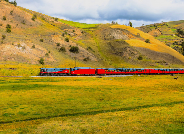 Tren Ecuador