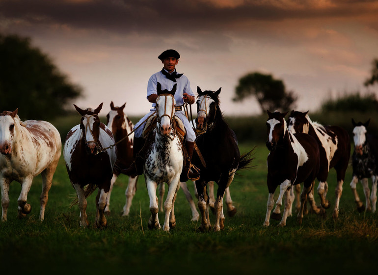 Argentine Voyage Estancia El Colibri chevaux avec gaucho