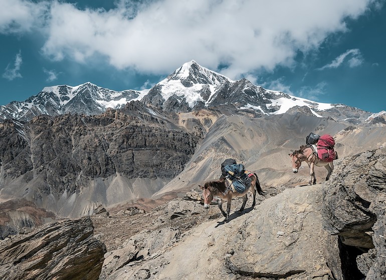 Trek avec vue sur les sommets Himalayens