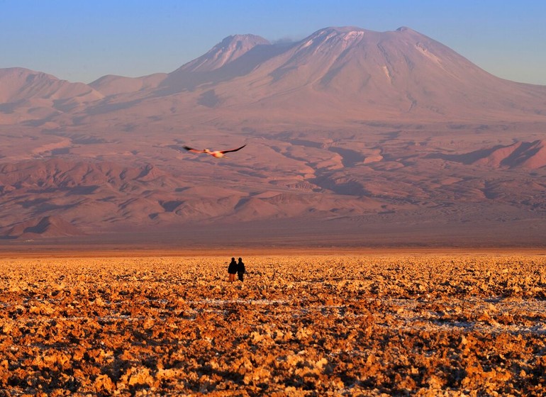 Chili Voyage Explora Atacama randonnée