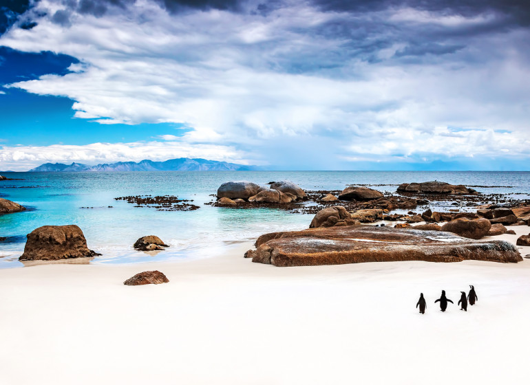 voyage afrique du sud cap de bon espérance