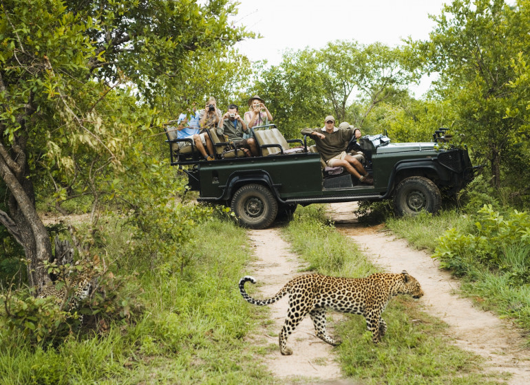 voyage afrique du sud kruger