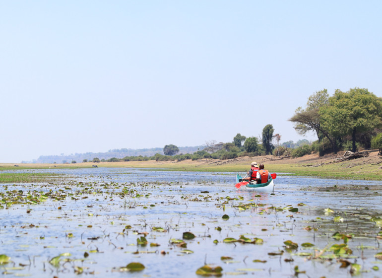 safari botswana okavango