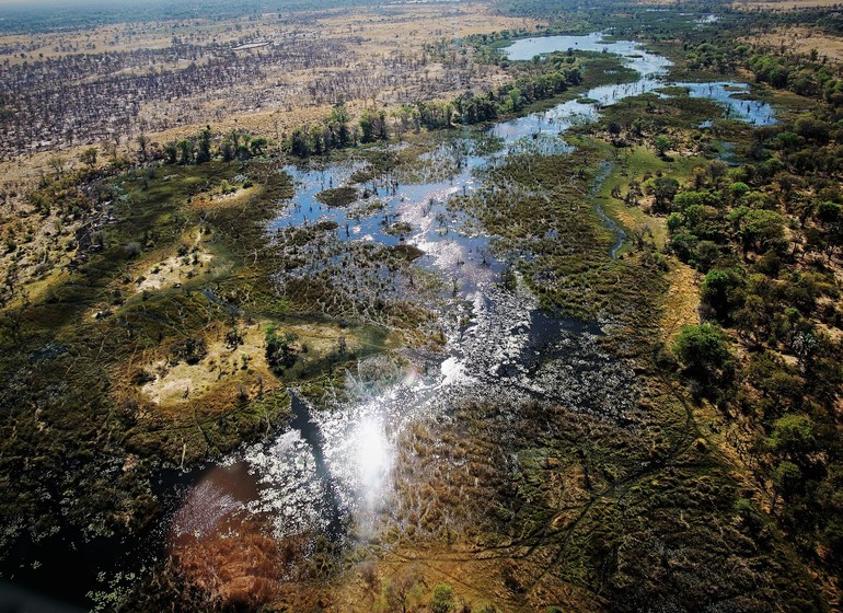 safari botswana okavango