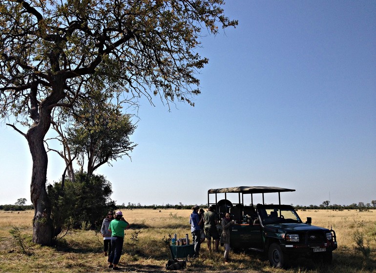 safari botswana