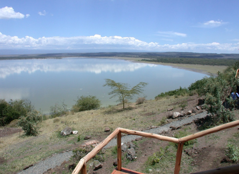 safari kenya