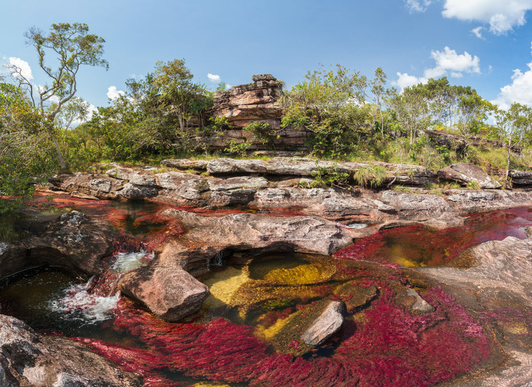 Colombie Voyage Cano Cristales Manigua nature en couleur sel saison