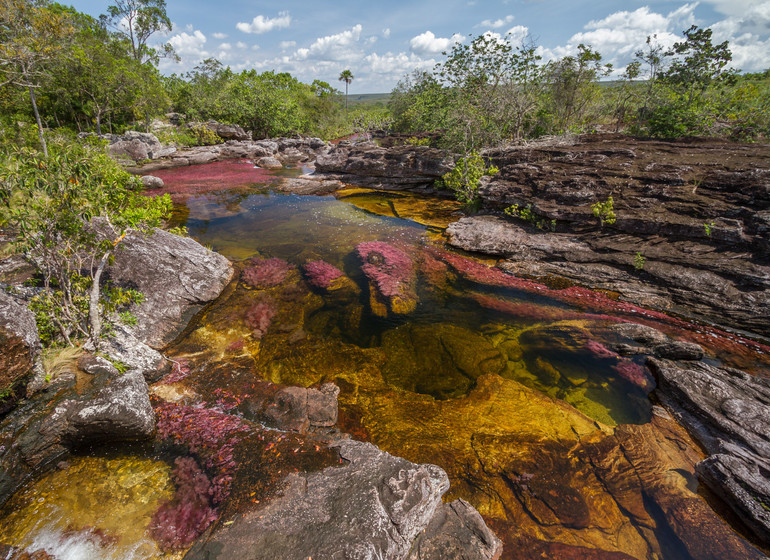 Colombie Voyage Cano Cristales Manigua Lodge nature environnante