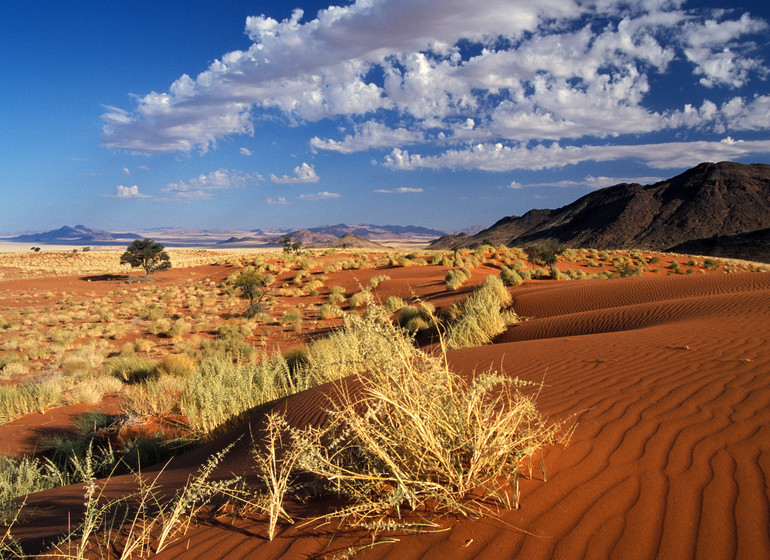 voyage namibie namibrand