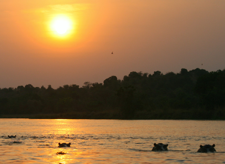 voyage ouganda hippopotames