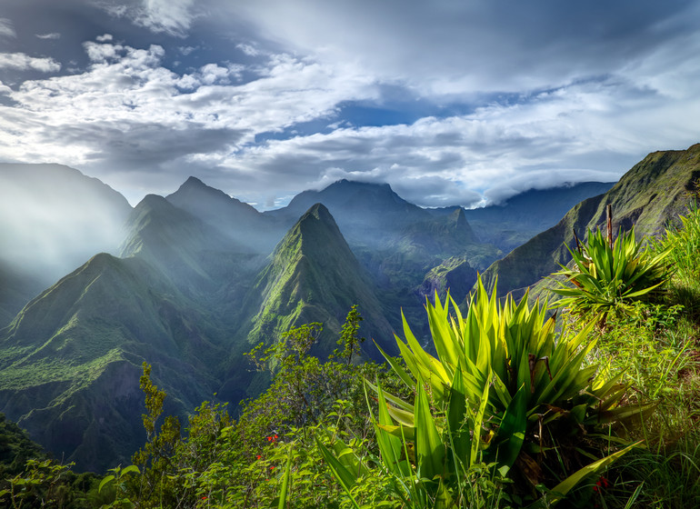 La Réunion Essentielle