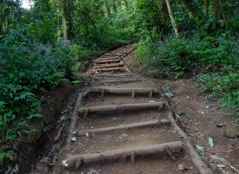 voyage tanzanie kilimandjaro