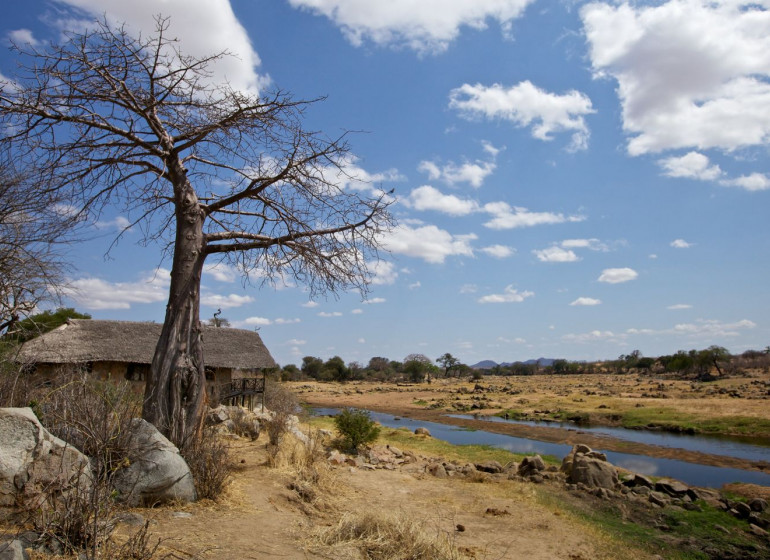 safari tanzanie