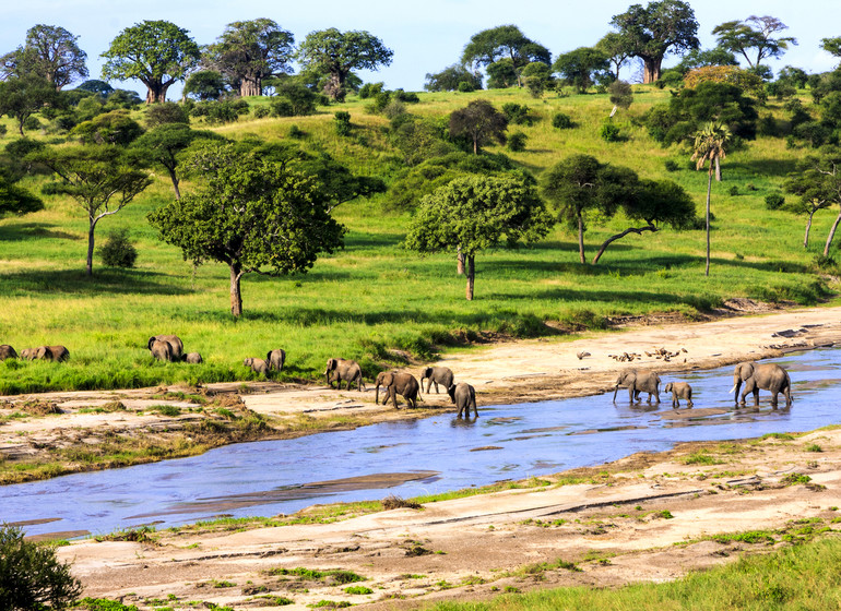 safari tanzanie